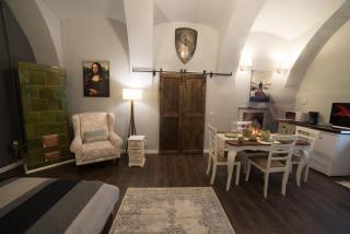 Ultra central medieval apartment - Cluj-Napoca - 1