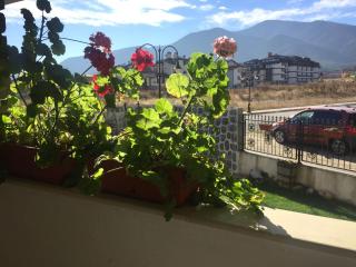 Skiing, Walking, Enjoying in mountains - Bansko - 0