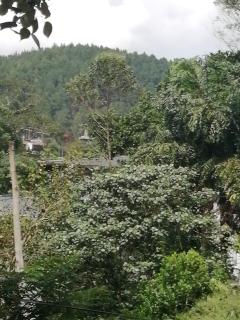 Sudumal Cottage - Ella - 2