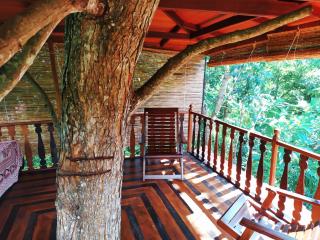 Tree House-Midigama - 5