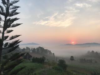 บ้านไม้สายหมอกเขาค้อ โฮมสเตย์ Bann Mai Sai Mhog Khao Kho Homestay - Amphoe Khao Kho - 6