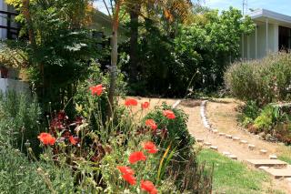 Annika Self-catering and B&B - Stellenbosch - 3