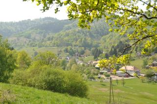 Appartement à Mitzach - Mitzach - 5