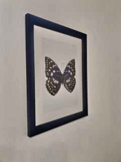 Le Mangin - Studio avec terrasse - 3