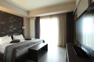 Hotel Stara Planina - Ćuštica - 4