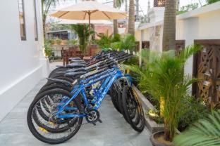 Hoi An Discovery Villa - Hoi An - 5