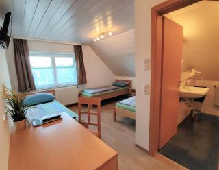 BodenSEE Haus am Geissbock - Meckenbeuren - 9