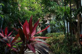 The Hive Hotel - Strand Lamai - 1
