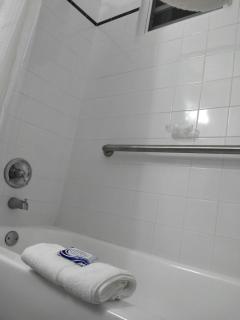 Coastal View Apartment - Ceiba - 2