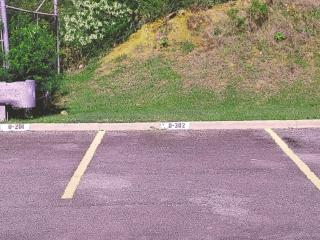 Coastal View Apartment - Ceiba - 5