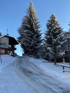 Gasthaus Luggwirt - 7