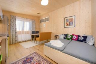Appartement - Vollholz Studio im Zentrum von Flachau - Flachau - 0