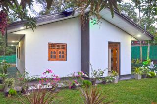 Sunny Homestay - 5