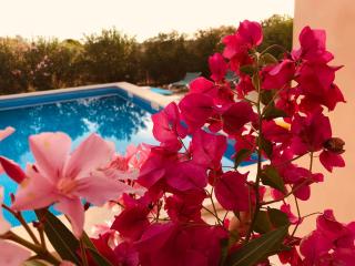 CASA Luz Solar - schöne Finca in Strandnähe, Privatpool, Klimaanlage, Wifi - Cala Santanyi - 1