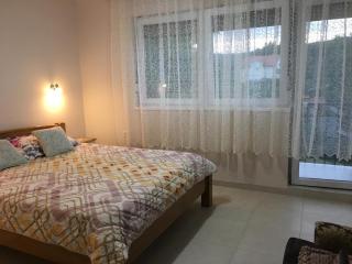 Apartment Vistanova - Vrdnik - 5