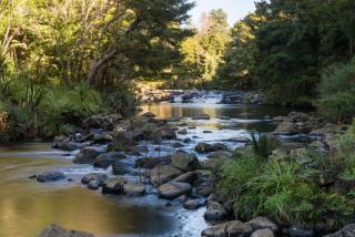 Puketotara Lodge - Kerikeri - 1