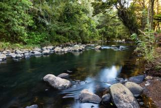 Puketotara Lodge - Kerikeri - 2