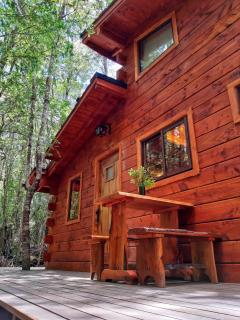 Cabañas Bosque Milenario - Coñaripe - 9