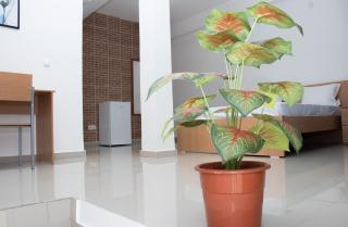 Plateau Bedroom & Chambre - Praia Center 1 - Praia - 1