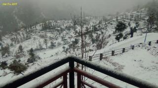 Viewtiful Homestay - Mukteshwar - 1