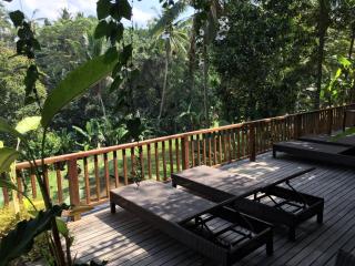 Puri Raya Villa - Ubud - 1