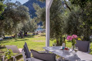 Limnonari Garden room - Skopelos - 1