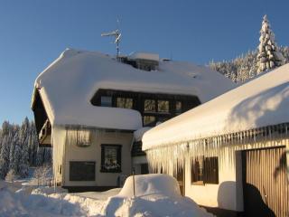 Berggasthaus Präger Böden - Todtnau - 7