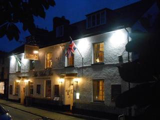 The Globe Inn - Chagford - 0