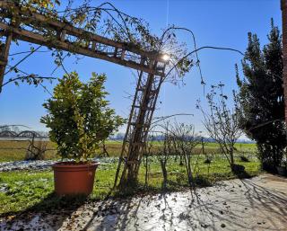 B&B DE CAROL - Gramignazzo - 5