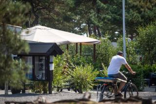 Dueodde Strand Camping - Dueodde - 1