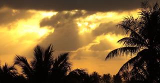 RESERVA IMBASSAI - APARTAMENTO TD 17 202 BUGANVILIAS - 6