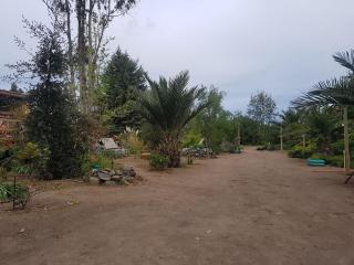 Centro Campestre Pequeño Faisán - Paredones - 3