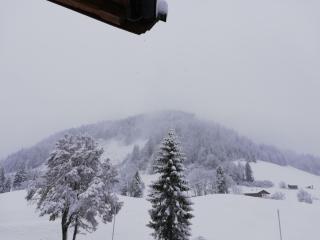 Alpengasthof Almrose im Heutal - Unken - 9
