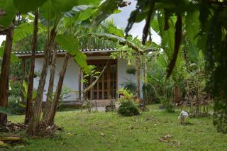 selvamorena - Mocoa - 2