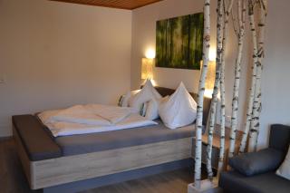 Alpenblick Apartments - Ramsau am Dachstein - 1