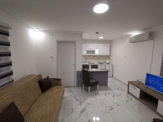 Studio Aleks 2 - Banja Koviljača - 2