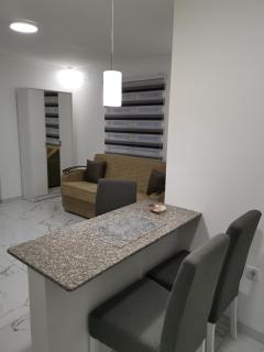 Studio Aleks 2 - Banja Koviljača - 1