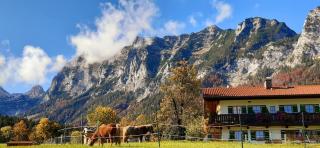 Vorderponholz Ferienwohnungen - Ramsau - 5