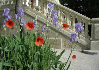 Paradix holiday apartment - gîte 4, 2 pers - 2