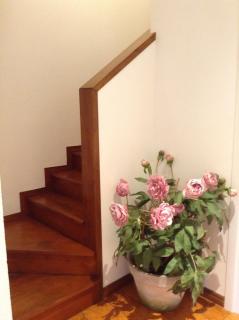 Casa di Lucia B&B - Ladispoli - 8