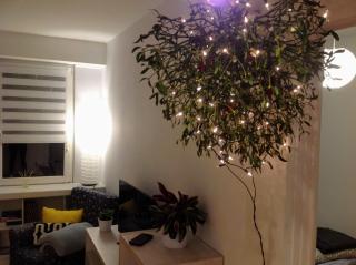 Apartament UŚMIECH - 6