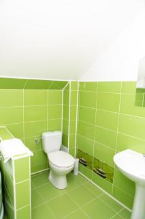 Vila Elisabeta - Braşov - 6