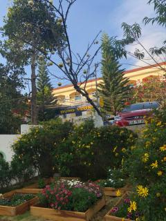 Thu Linh Homestay - Da Lat - 8