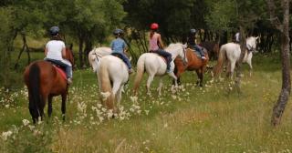 Finca Paredes - Valdetorres de Jarama - 8