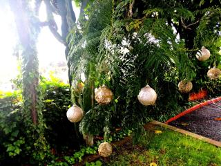 Sweet Dreams - Santa Brígida - 8