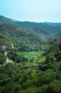 Bungalows Baliera - 1