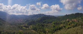 Il Giaggiolo - Camaiore - 9