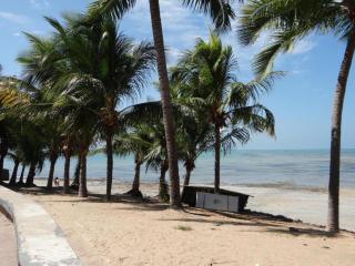 Expresso R1 - Maceió - 9