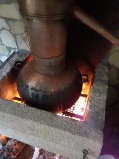 Aromas dos Salgueiros - Castelo de Vide - 7