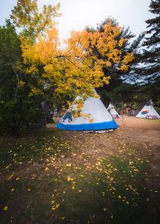 L'Auberge Refuge du Trappeur - 4